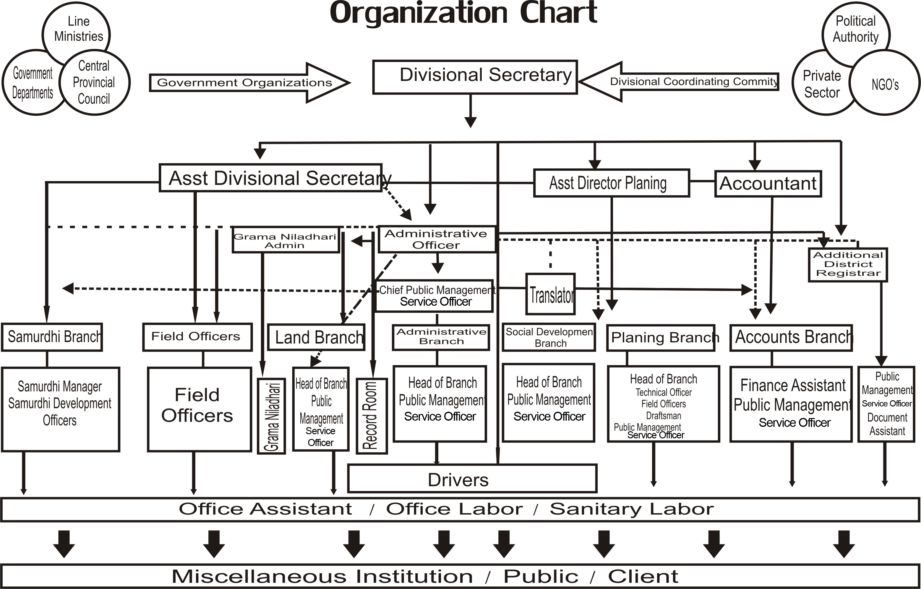 organization chart en