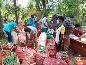 කොරෝනා ව්‍යසනයේදී පල්ලෙපොල අපි..