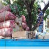 කොරෝනා ව්‍යසනයේදී පල්ලෙපොල අපි..